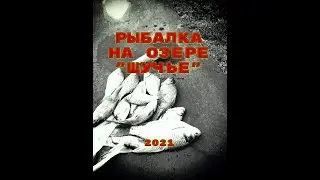 Рыбалка на Щучьем недалеко от с Борисово ⓩⒶⓂⓞⓣⒶⓎ