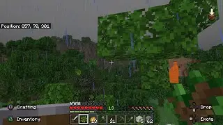 Minecraft: Double Creeper