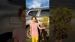 Открываю двери без ключа ча-ча-ча-ча-ча-ча #рекомендации #shorts  #юмор