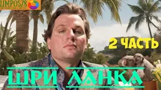 2 часть. Шри Ланка осенью в 2024 году.  Продолжаем экскурсию. Купаемся, обзор отеля.
