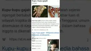 Misteri Kupu kupu Raksasa Siluman👹