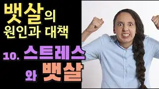 뱃살의 원인과 대책 - 10. 스트레스와 뱃살