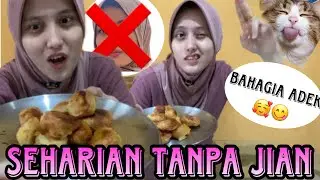 HARIMAO BEBAS SEHARIAN TANPA SI JIAN!!! 😍😍🤣