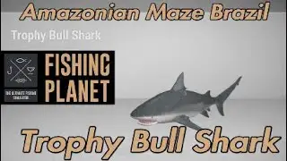 Trophy Bull Shark - Amazonian Maze Brazil - Fishing Planet Guide