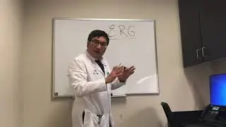 ERG