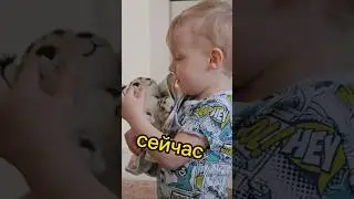 Это кто у тебя?  АФИНА 🤣😂 