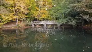 Yedigöller'de Drone İle Muhteşem Sonbahar Manzarası ( 4k )