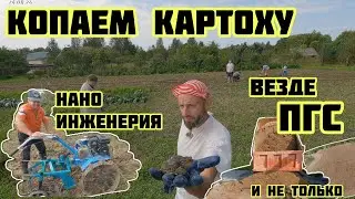 ПГС и не только, копаем картошку, нано инженерия, большие жабы и капуста 🏡√413 Строим Дом 24.08.2024