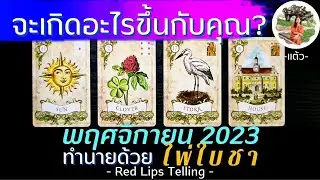 Pick A Card : จะเกิดอะไรขึ้นกับคุณ ในเดือนพฤศจิกายน 2566/2023? [ ทำนายด้วยไพ่ใบชา ]