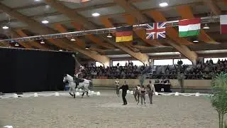 Lutisberg final freestyle