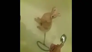 Топ крутых котов, купание,кот моется в ванной