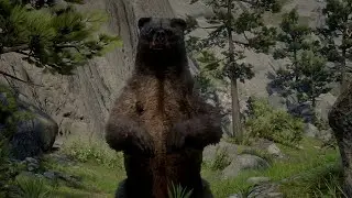 Уходит с уязвлённым самолюбием  | Red Dead Redemption 2