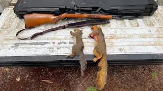 Squirrel Hunting Madness (1ST HUNT OF 2024)