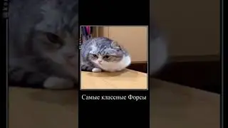 ты любишь меня ? Конечно... 