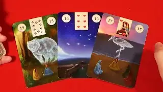 Как он переносит разлуку? Как ему без Вас?