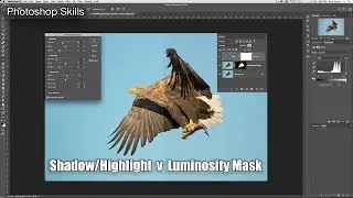 USE LUMINOSITY MASKING INTEAD OF SHADOW HIGHLIGHT ADJUSTMENT in Photoshop.