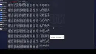 Searching All Areas of the Digital Forensic Image for Deleted Text Using Linux Commands Grep | XXD