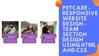 PetCare - Responsive Website Design - Team Section Using HTML And CSS || WebMode