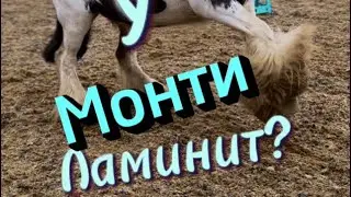 Ламинит?