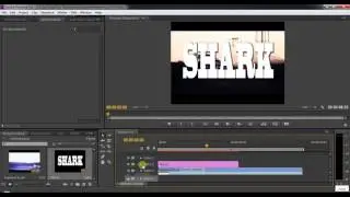 Text mask effect in video Adobe Premiere Pro CS6.