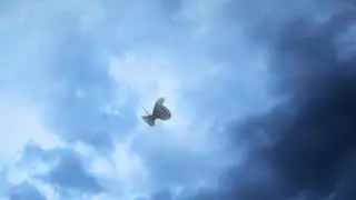 Mothra