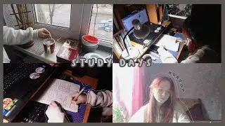 study days | возвращаюсь в продуктивный режим, корейский и готовка