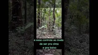 Super dica de fotografia com celular