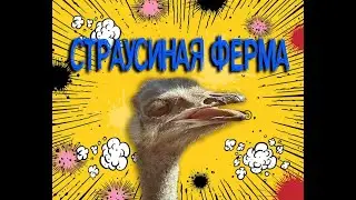 Влог #55 Страусиная ферма Башкортостан Гафурийский район \ Великолепный страус