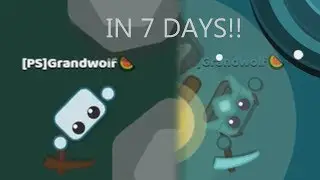 Starve.io RECORD - FULL DIAMOND GEAR IN 7 DAYS!! WITHOUT BAG, COAT OR SCARF