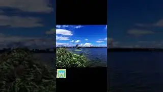 Городок. Львівська область Т. Петриненко. УКРАЇНА