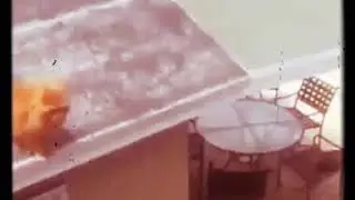 Бедни 🐈