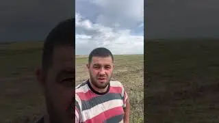 13 июня 2024 г.