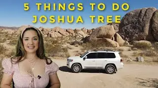 5 Things to Do in Joshua Tree National Park