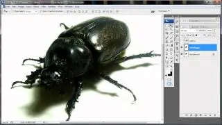 Composizione creativa con Photoshop: la scaramucca