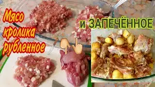 Рецепт рубленого мяса кролика. рецепт запечённое мясо кролика с картошкой в духовке.
