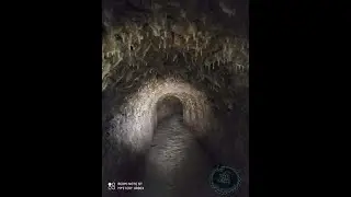 UN QUANAT DI OLTRE 1000 ANNI A MESSINA?