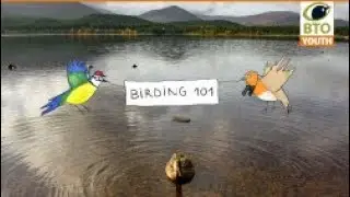 #BTOYouth Birding 101 - Waterbird ID