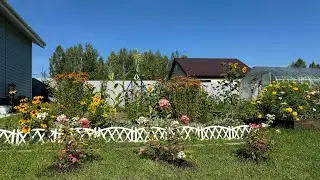 НА ДАЧЕ. ПРО СОБАЧЕК И НЕМНОГО ПУТЕШЕСТВИЯ.