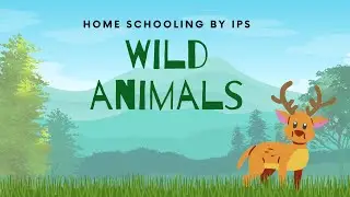 Wild Animals @homeschoolingbynaveen