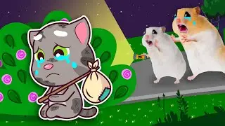 Talking Tom! Come Back Home with Hamster - Please! Hamster Always Love You