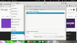 Setting Microphone Input on Kali linux