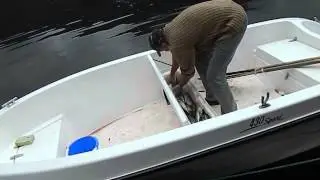 Рыбалка в Норвегии. Разгрузка улова.Пикша.Сайда.