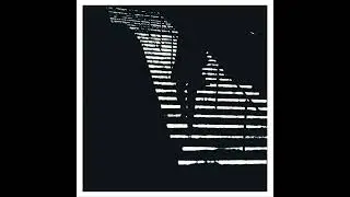 Fatal Portrait - What A Shame