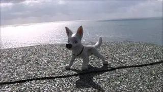 bolt best dog