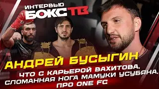 Андрей Бусыгин: О карьере Вахитова / Про кость Усубяна / Меньшиков в One FC
