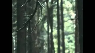Flume - Smoke And Retribution (Ekali Remix) feat. Vince Staples & Kučka
