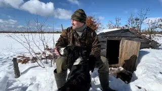 Скрадок тонет, печка сгнила! Подготовка к весенней охоте на болоте.