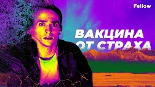 Вакцина от страха | Fellow