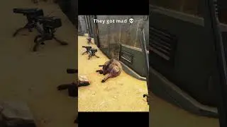 Ark Toons 