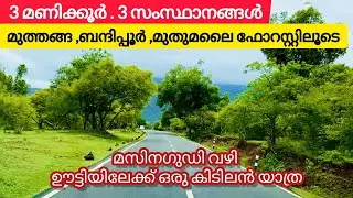 Muthanga , Bandipur , Mudumalai and Masanagudi to Ooty | 3 Reserved Forest / How to plan Ooty Trip